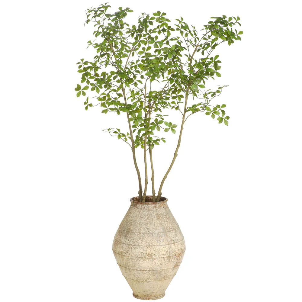 6'2"Hx46"W Enkianthus Silk Tree w/Metal Planter -Green