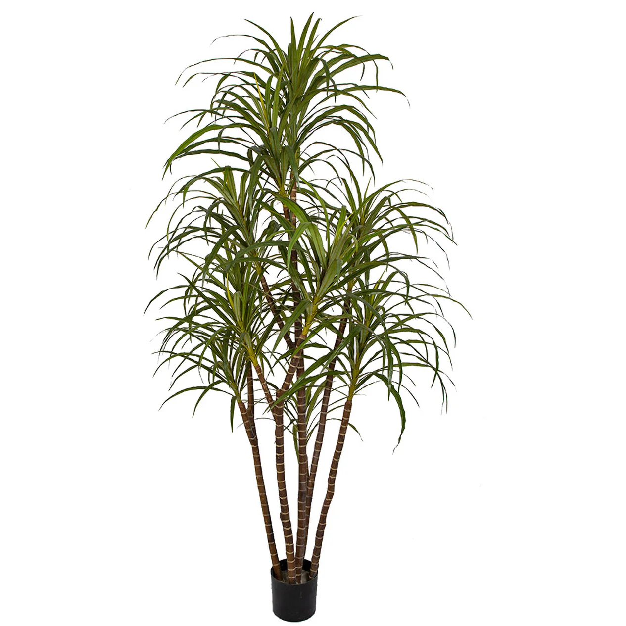 6'6" Dracaena Marginata Silk Tree w/Pot -Green/Red