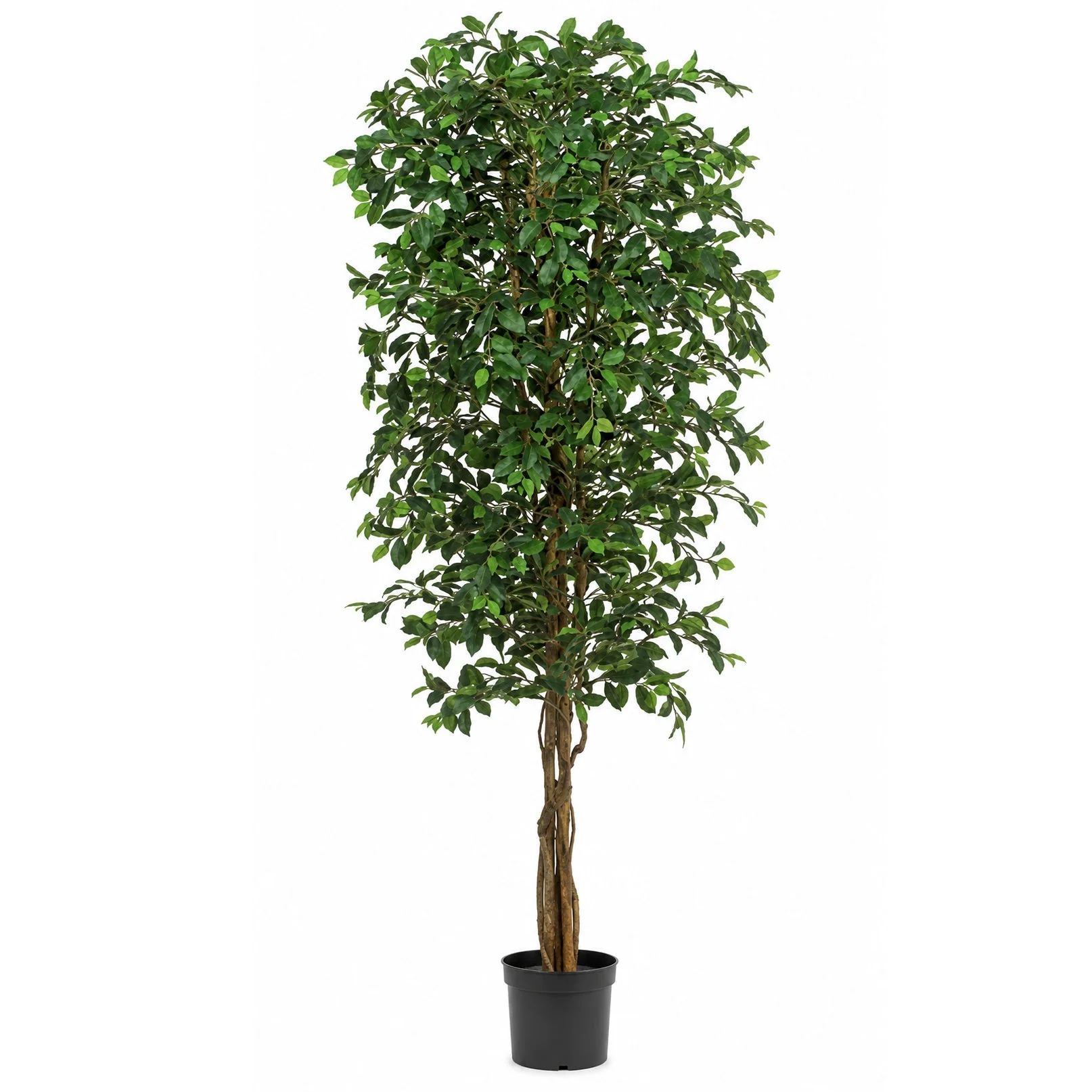 6'6" Ficus Silk Tree w/Pot -2,700 Leaves -Green