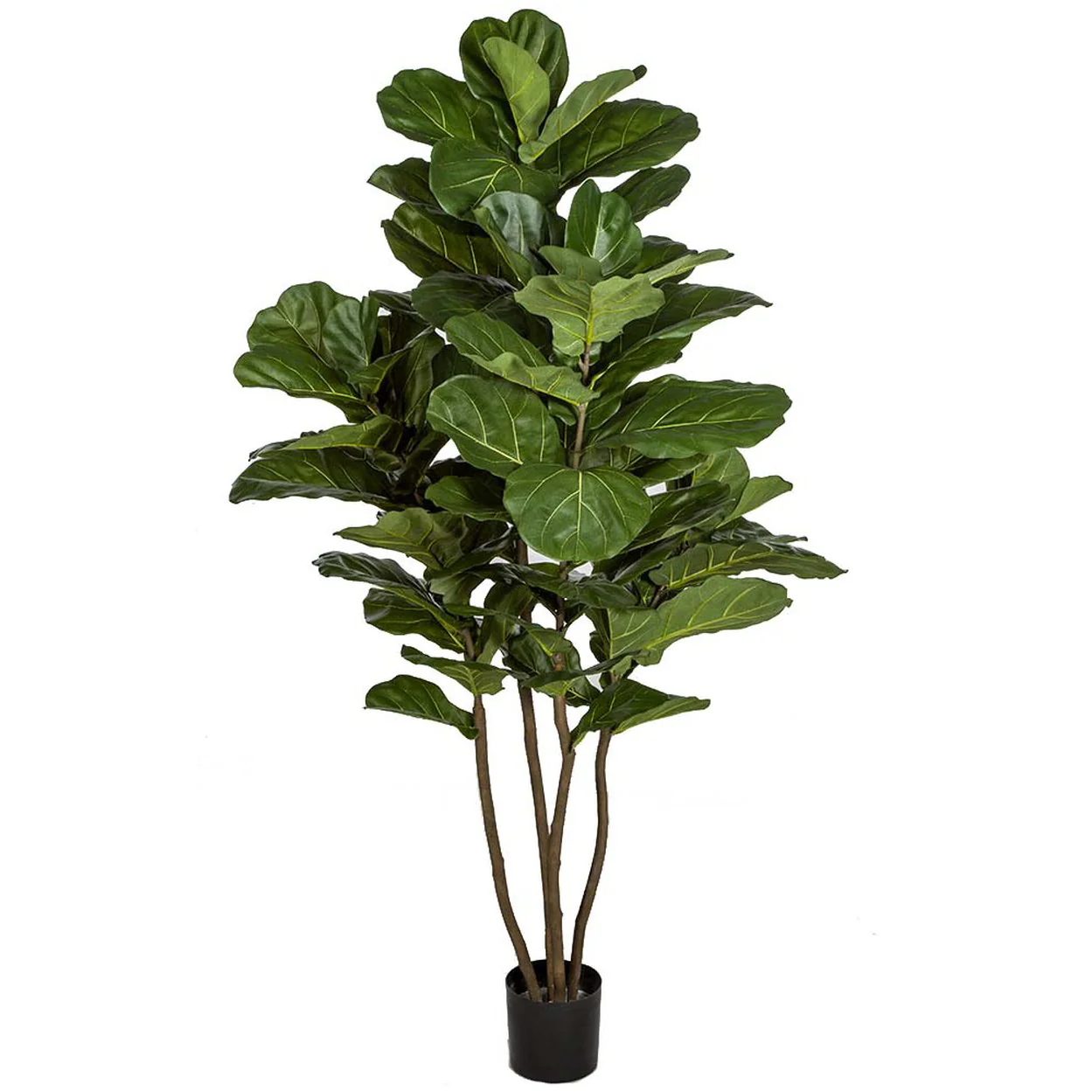 6'6" IFR Silk Fiddle Leaf Fig Tree w/Pot -Green