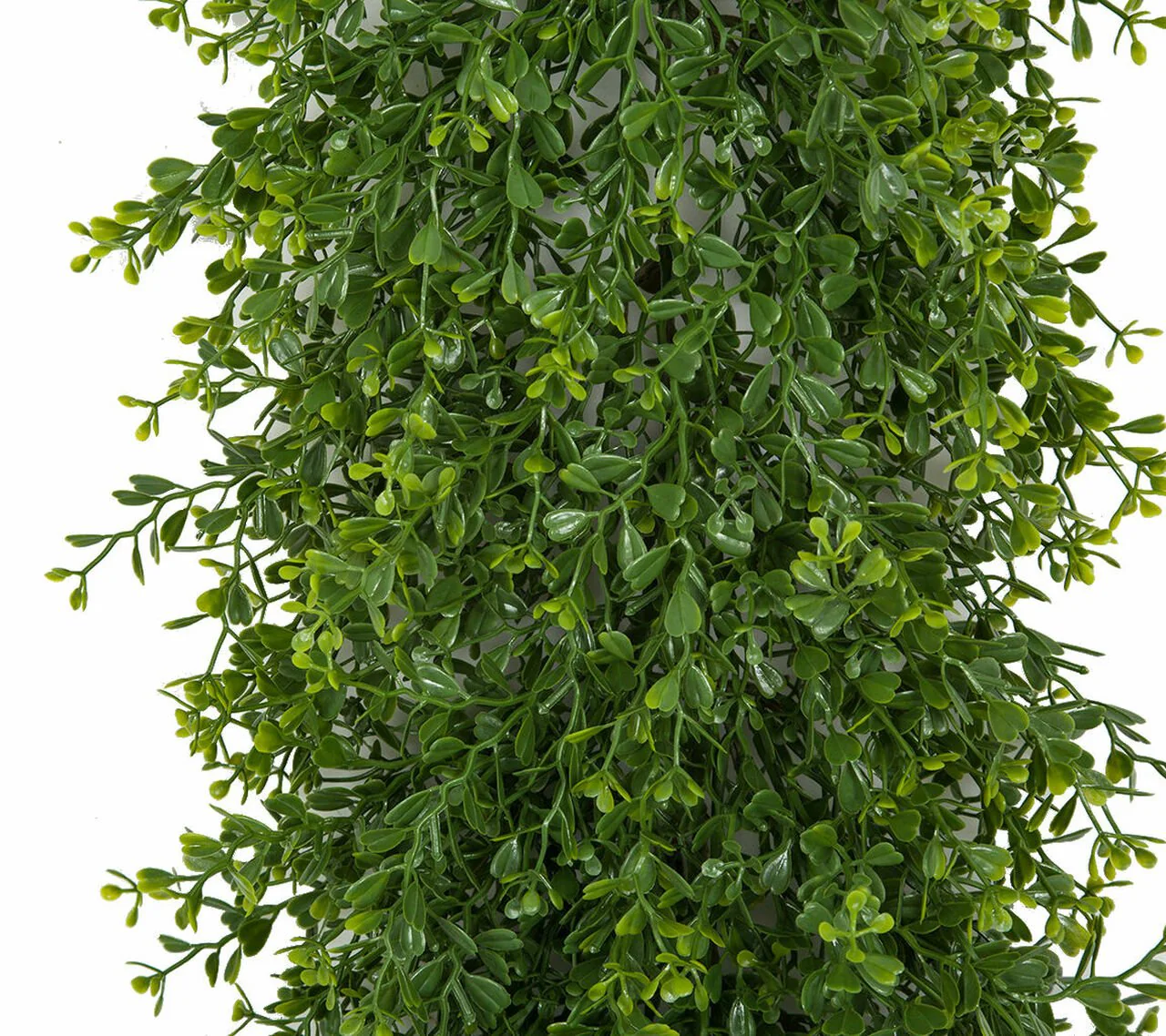 6'6" Outdoor UV-Resistant Artificial Mini Leaf Boxwood Garland -2 Tone Green (Pack of 2) - Image 3