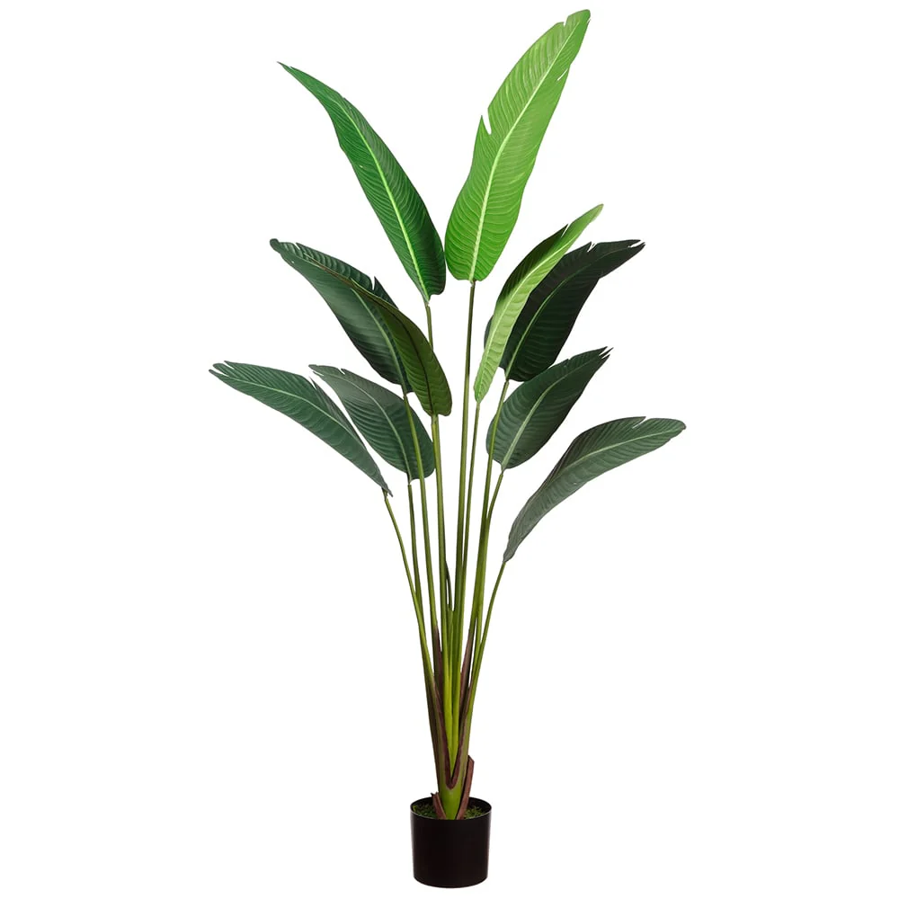 6'6" Silk Bird Of Paradise Palm Tree w/Pot -Green (Pack of 2)