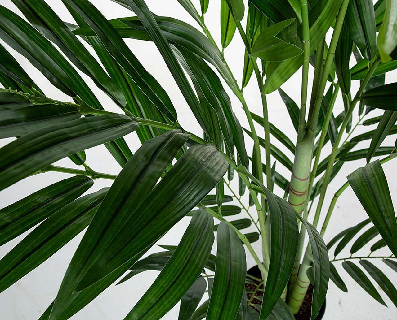 6'6" Soft-Touch Kentia Silk Palm Tree w/Pot -Green - Image 2
