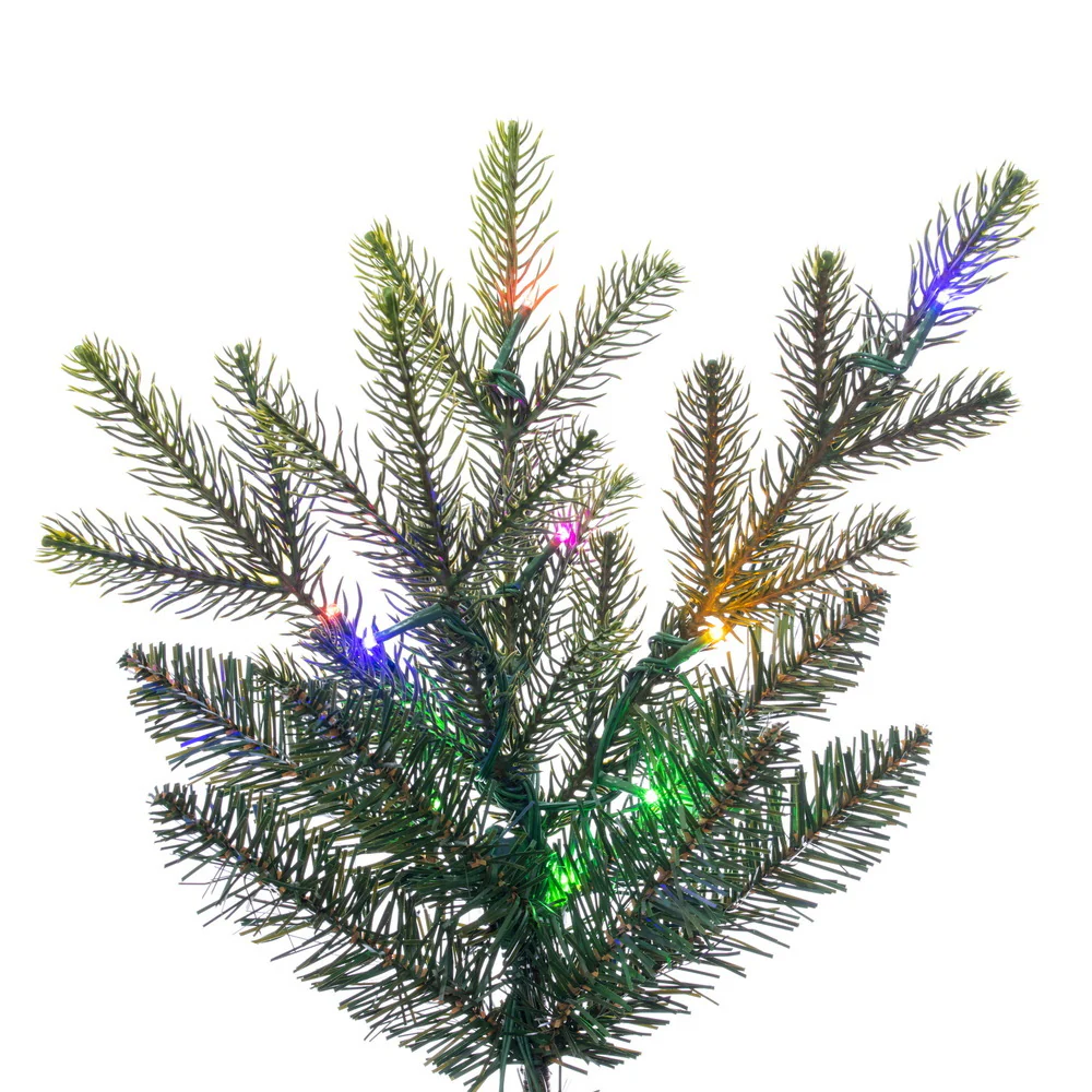 6'6"Hx51"W PE Orchard Fraser Fir Artificial Christmas Tree, Micro LED Pre-Lit (Multi-Mode) -Green - Image 3
