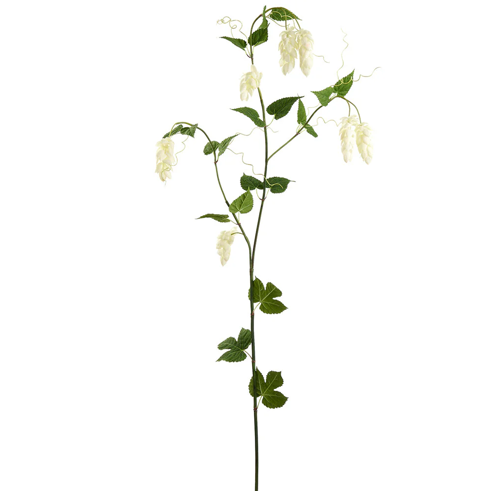 68.8" Real Touch Hops Silk Flower Stem -Cream (Pack of 6)