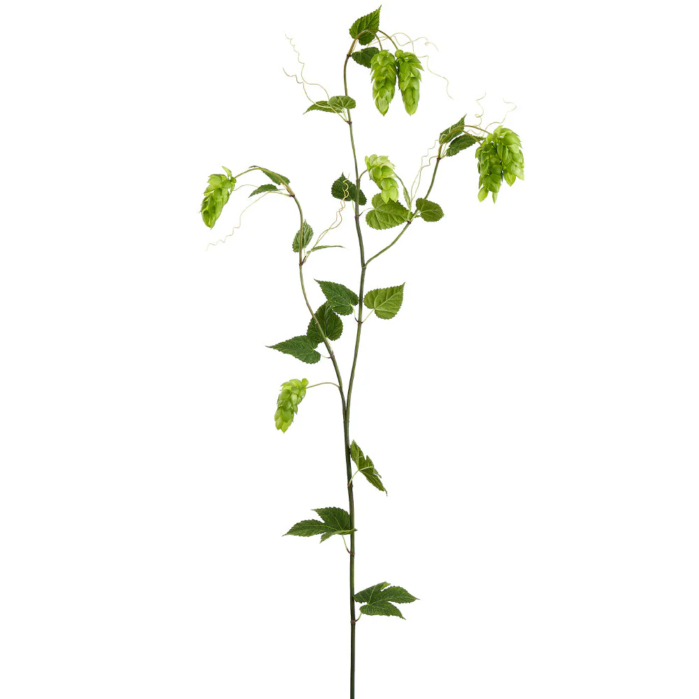 68.8" Real Touch Hops Silk Flower Stem -Green (Pack of 6)