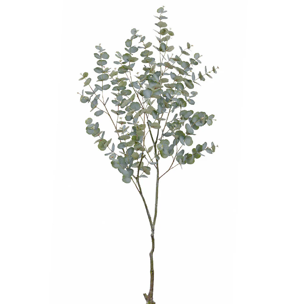 68" Eucalyptus Leaf Silk Stem -Green (Pack of 2)