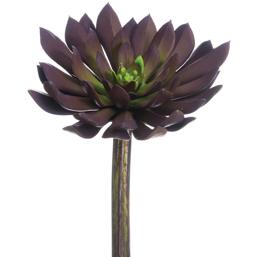 6"Hx4.75"W Real Touch Echeveria Artificial Stem Pick -Plum/Green (Pack of 12)