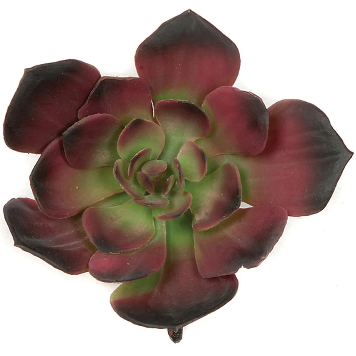 6"HX6"W IFR Artificial Echeveria Stem -Burgundy/Green (Pack of 12)