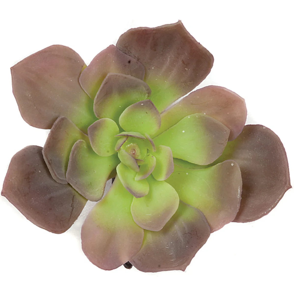 6"HX6"W IFR Artificial Echeveria Stem -Purple/Green (Pack of 12)