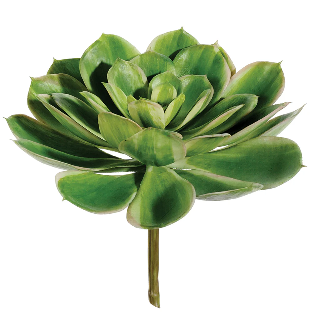 6"Hx9"W Real Touch Echeveria Artificial Stem Pick -2 Tone Green (Pack of 6)