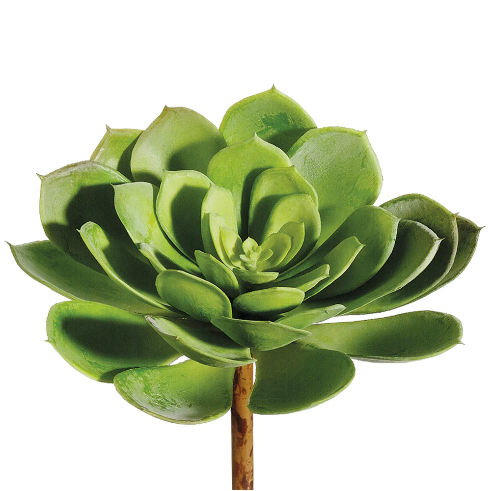 6"Hx9"W Real Touch Echeveria Artificial Stem Pick -Green (Pack of 6)