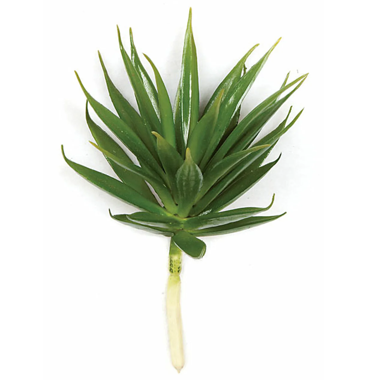 7.5" IFR Artificial Agave Stem Pick -Green (Pack of 12)