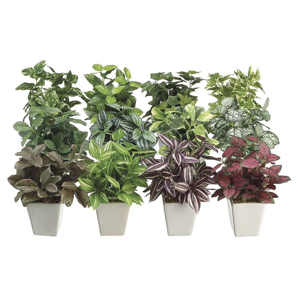 7.5" Set Of 12 Assorted Silk Greenery Plants w/Ceramic Pots -Mixed Colors