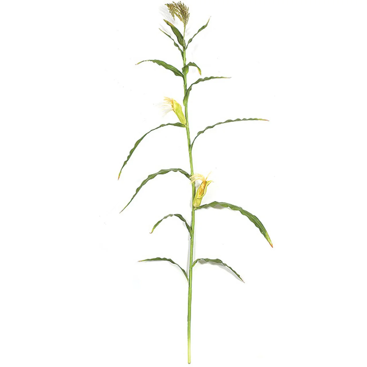 7' Artificial Corn Stalk Branch Stem -Green (Pack of 6)