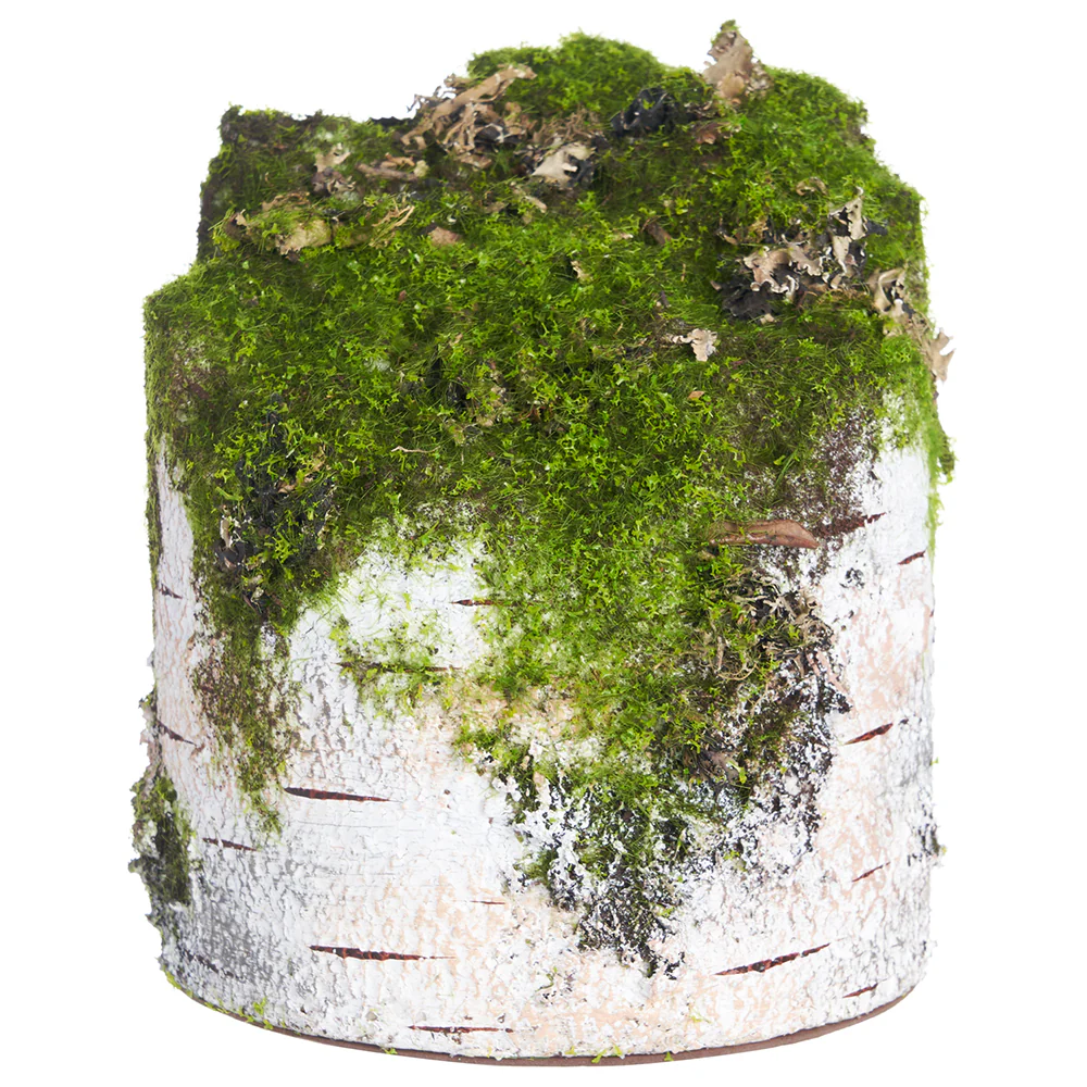 7" Artificial Moss Covered Birch Log -Beige/Green (Pack of 6)