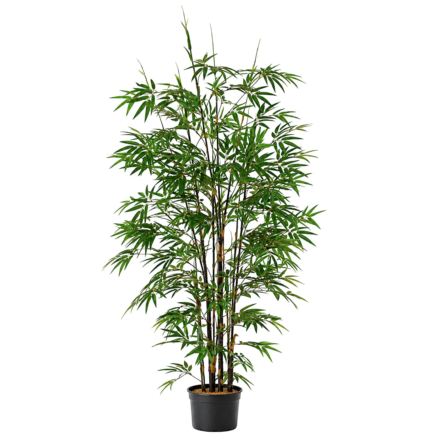 7' Black Bamboo Silk Tree w/Pot -1,735 Leaves -Green