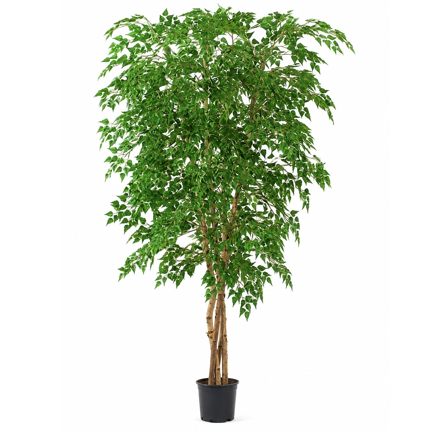 7' Custom-Made IFR Silver Birch Artificial Tree w/Pot -3,744 Leaves -Green