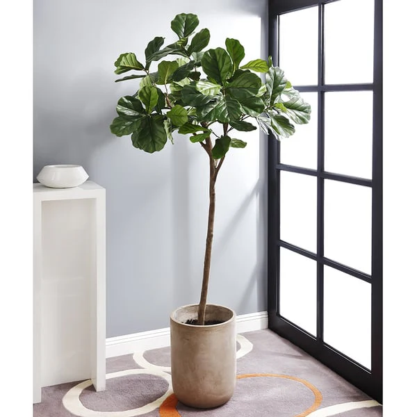 7' Fiddle Leaf Fig Silk Tree w/Fiber Cement Planter -Green - Image 2