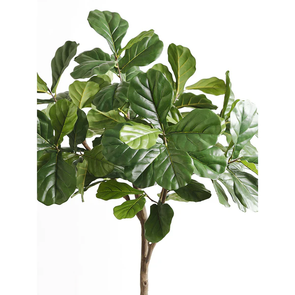 7' Fiddle Leaf Fig Silk Tree w/Fiber Cement Planter -Green - Image 3