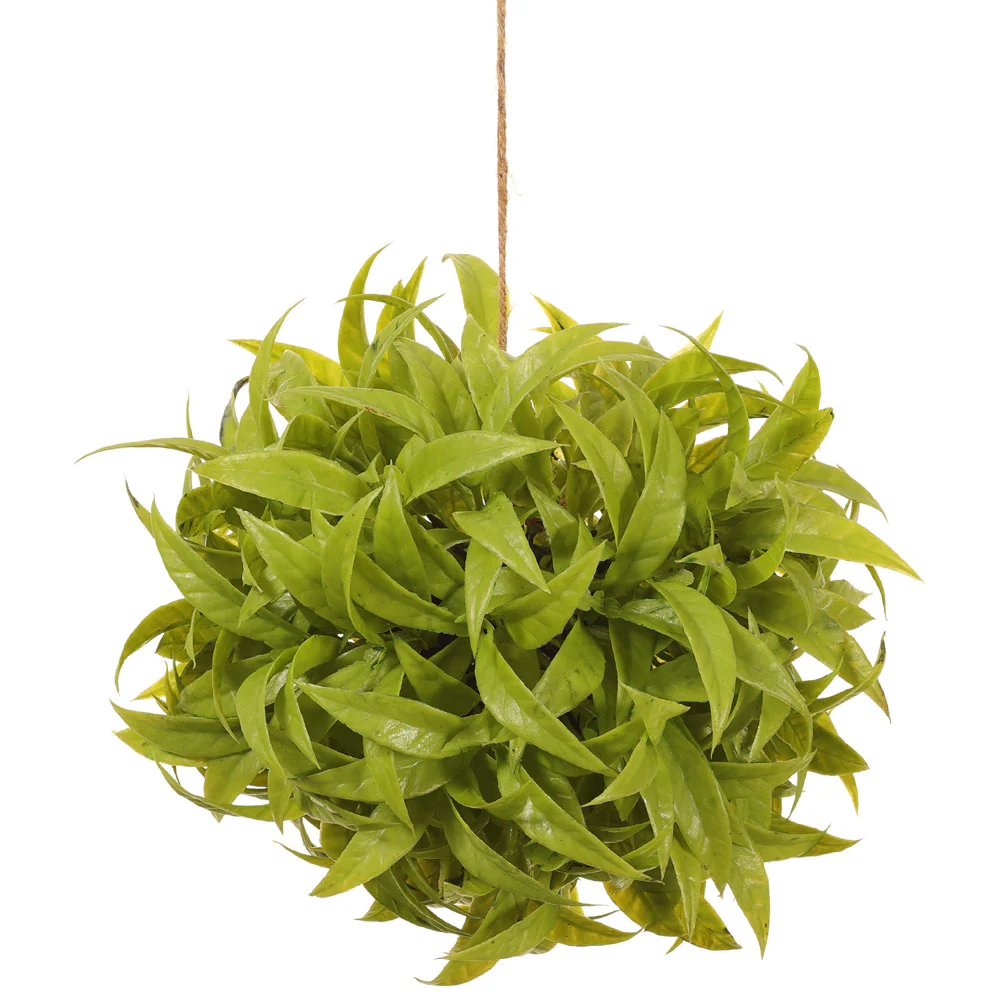 7" Hanging Eucalyptus Ball-Shaped Artificial Topiary -Green (Pack of 6)