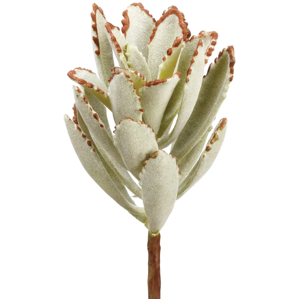 7" Kalanchoe Artificial Stem Pick -Green/Gray (Pack of 12)