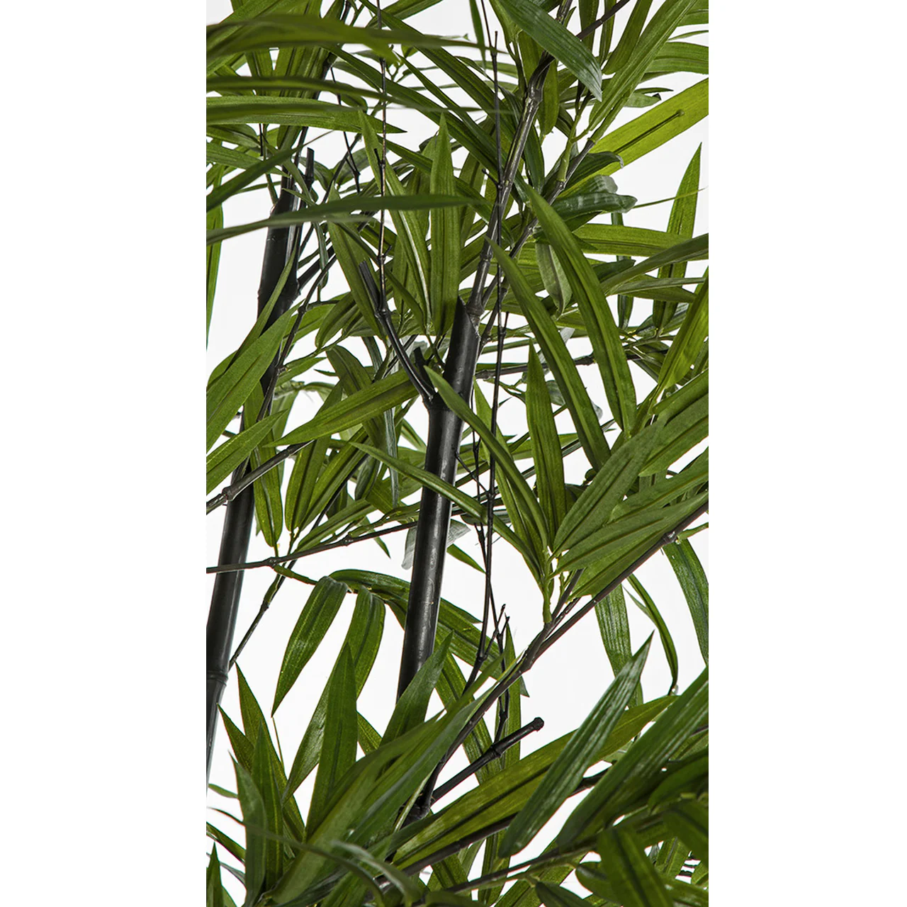 7' Natural Black Trunk Silk Royal Bamboo Tree w/Pot -Green/Black - Image 3