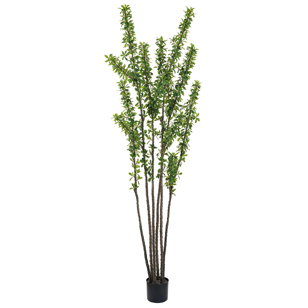 7' Ocotillo Desert Coral Artificial Tree w/Plastic Pot -Green