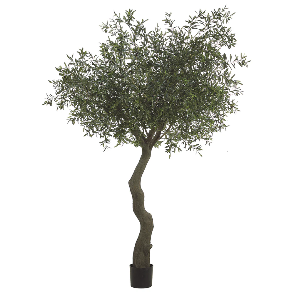 7' Olive Silk Tree w/Pot -Green/Black