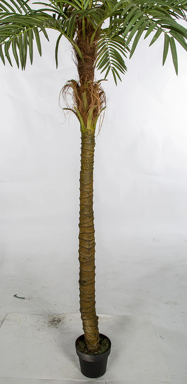 7' Phoenix Date Silk Palm Tree w/Pot -Green - Image 2