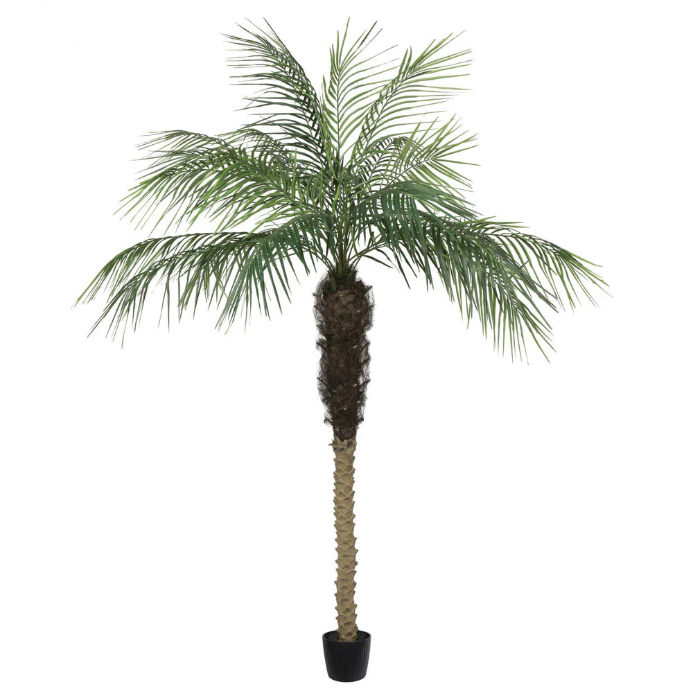 7' Phoenix Silk Palm Tree w/Pot -Green