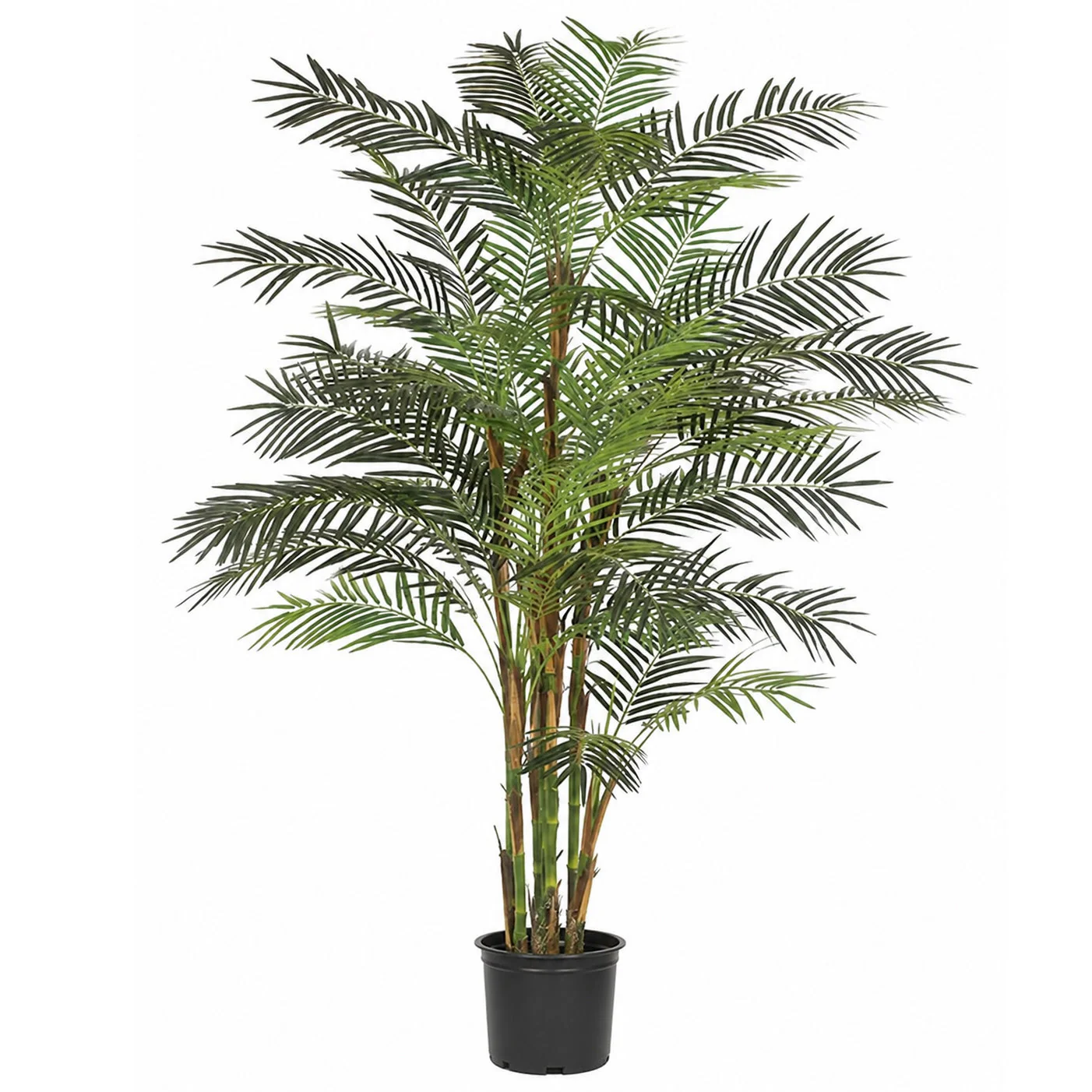 7' Reed Bamboo Silk Palm Tree w/Pot -Green
