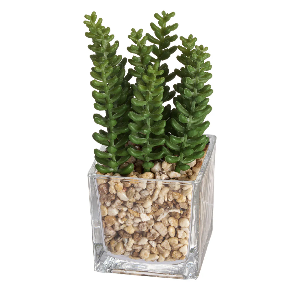 7" Sedum Artificial Plant w/Glass Vase -Green (Pack of 2)