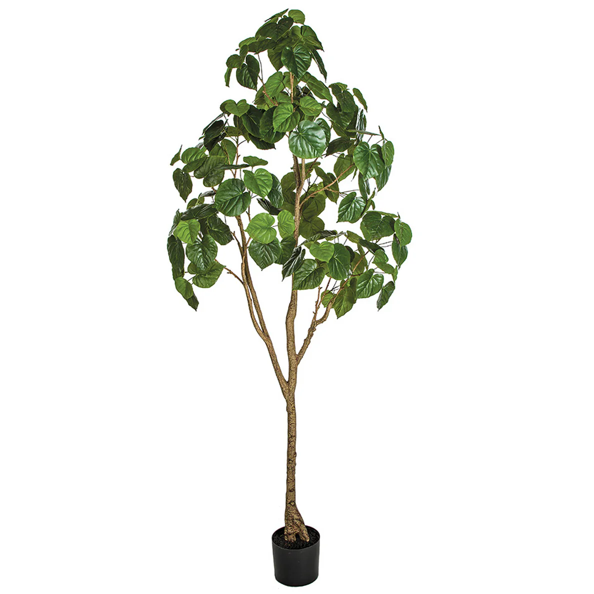 7' Soft-Touch Ficus Umbellata Silk Tree w/Pot -Green