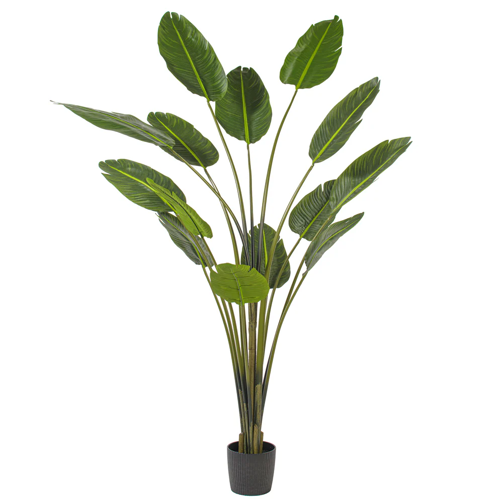 7' Travelers Silk Palm Tree w/Plastic Pot -Green