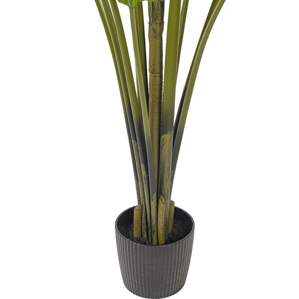 7' Travelers Silk Palm Tree w/Plastic Pot -Green - Image 2