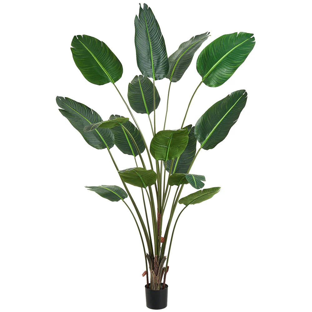 7' Travelers Silk Palm Tree w/Plastic Pot -Green (Pack of 2)