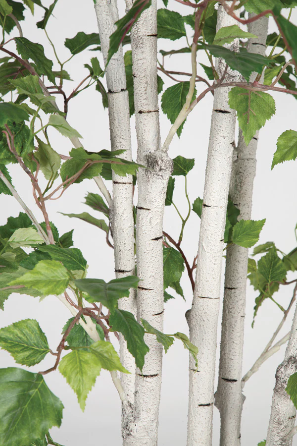 7' White Birch Silk Tree w/Pot -Green - Image 2