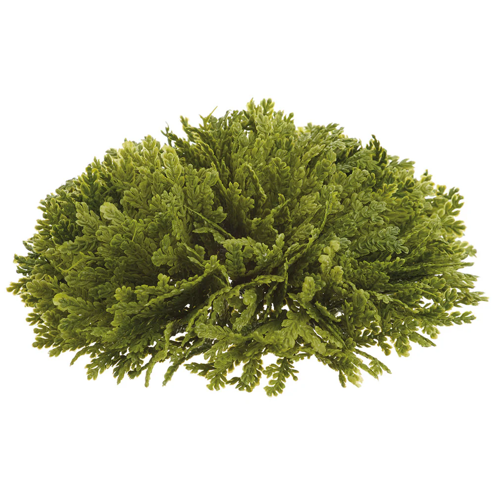7" Wide Spike Moss Half Ball-Shaped Artificial Topiary -Green (Pack of 6)