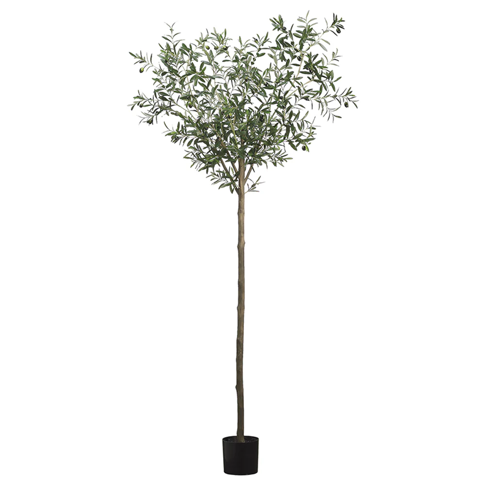 7'11" Olive Silk Tree w/Pot -2 Tone Green (Pack of 2)