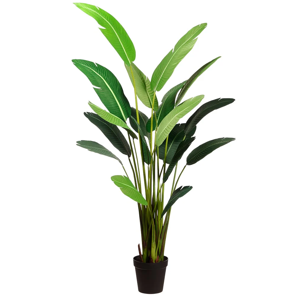 7'11" Silk Bird Of Paradise Palm Tree w/Pot -Green (Pack of 2)