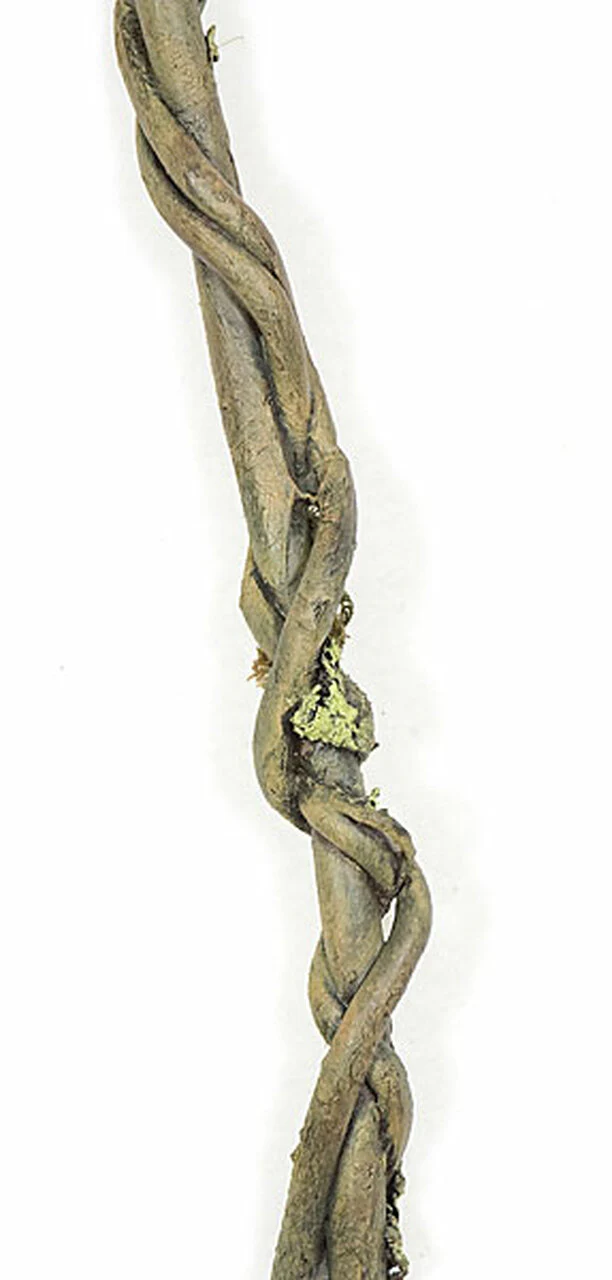 72" Foam Artificial Moss Vine -Brown/Green (Pack of 6) - Image 2