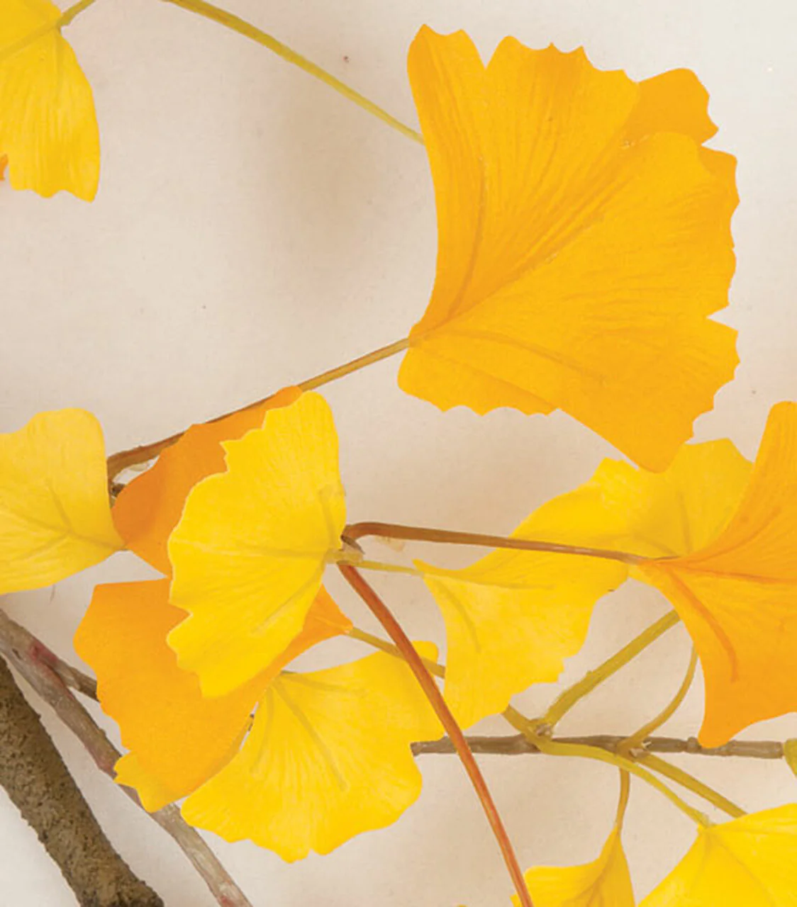 72" Hanging Silk Ginkgo Leaf Branch Stem -Yellow (Pack of 4) - Image 2