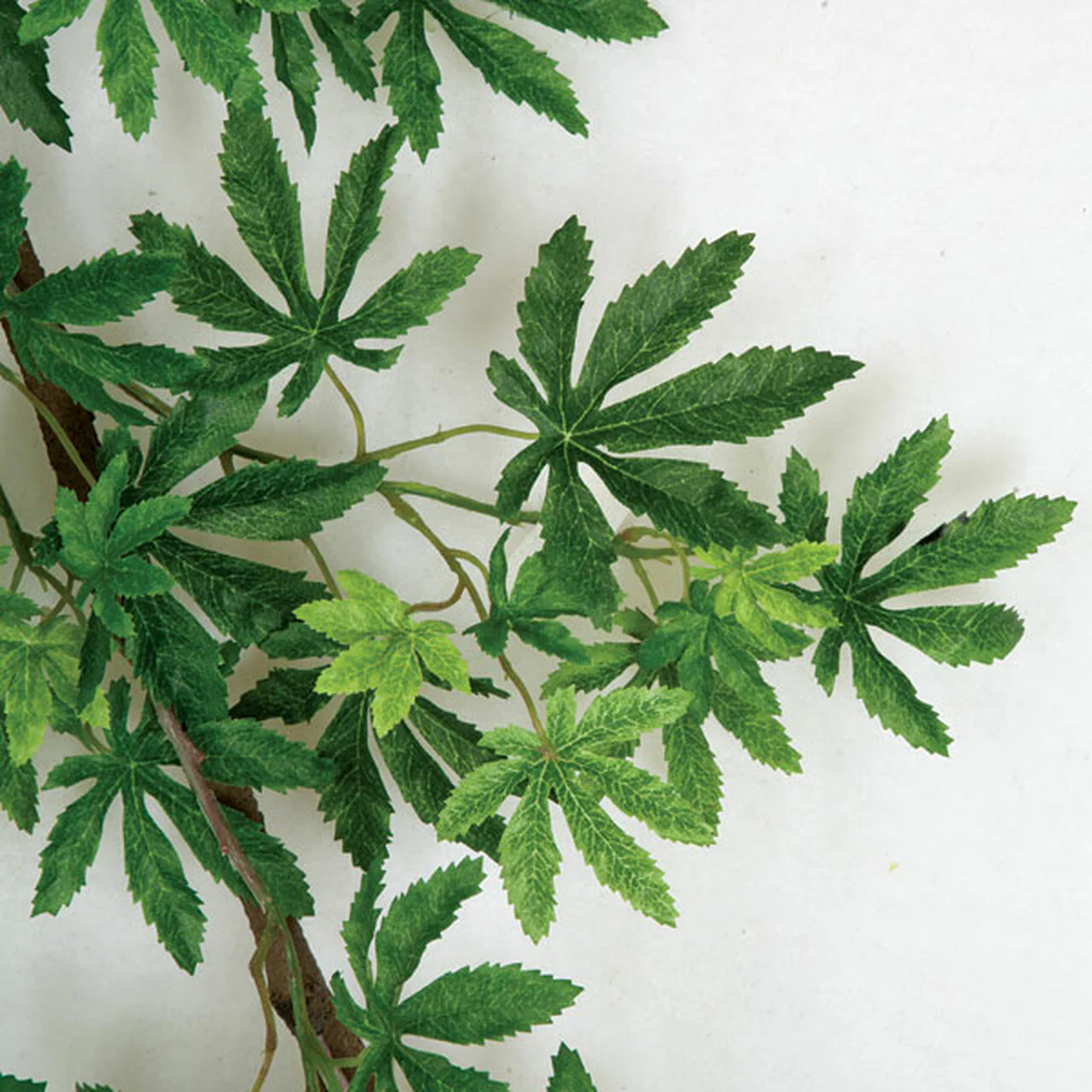 72" Hanging Silk Japanese Maple Leaf Branch Stem -2 Tone Green (Pack of 4) - Image 2