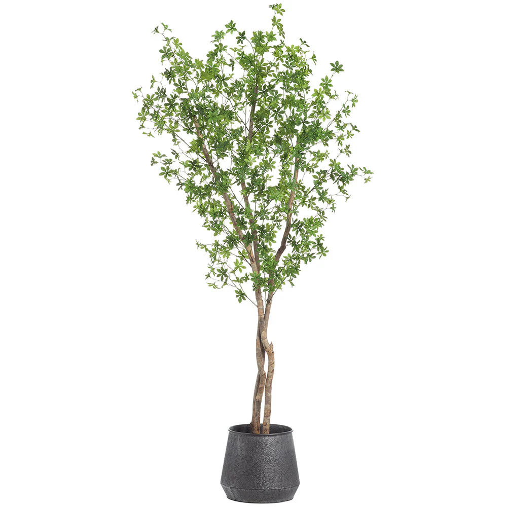 7'2"Hx40"W Enkianthus Silk Tree w/Metal Container -Green