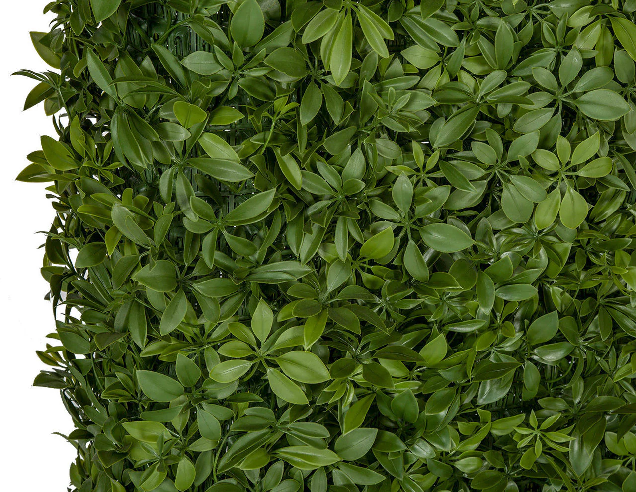 72"Hx48"Wx10"D Outdoor UV-Resistant Artificial Schefflera Leaf Topiary Hedge -2 Tone Green - Image 3