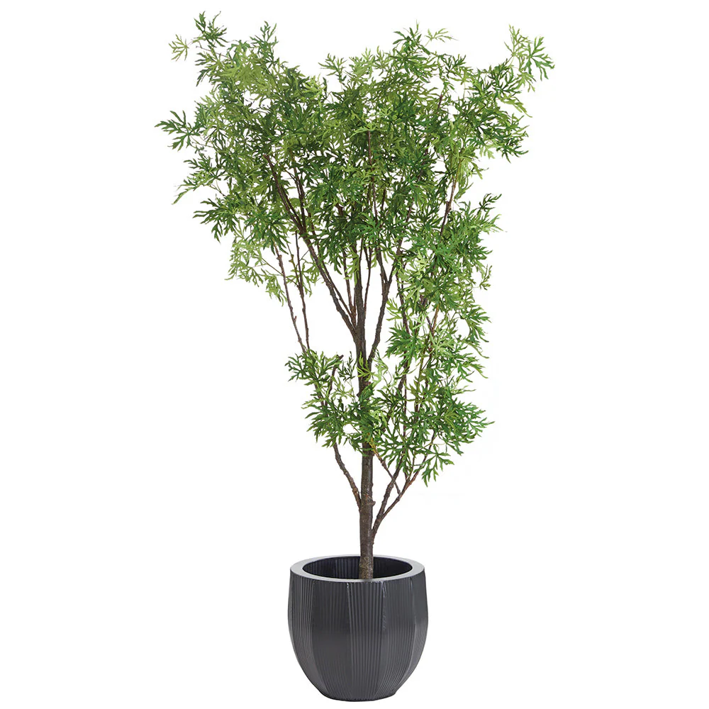 7'2"Hx52"W Ming Aralia Silk Tree w/Metal Planter -Green