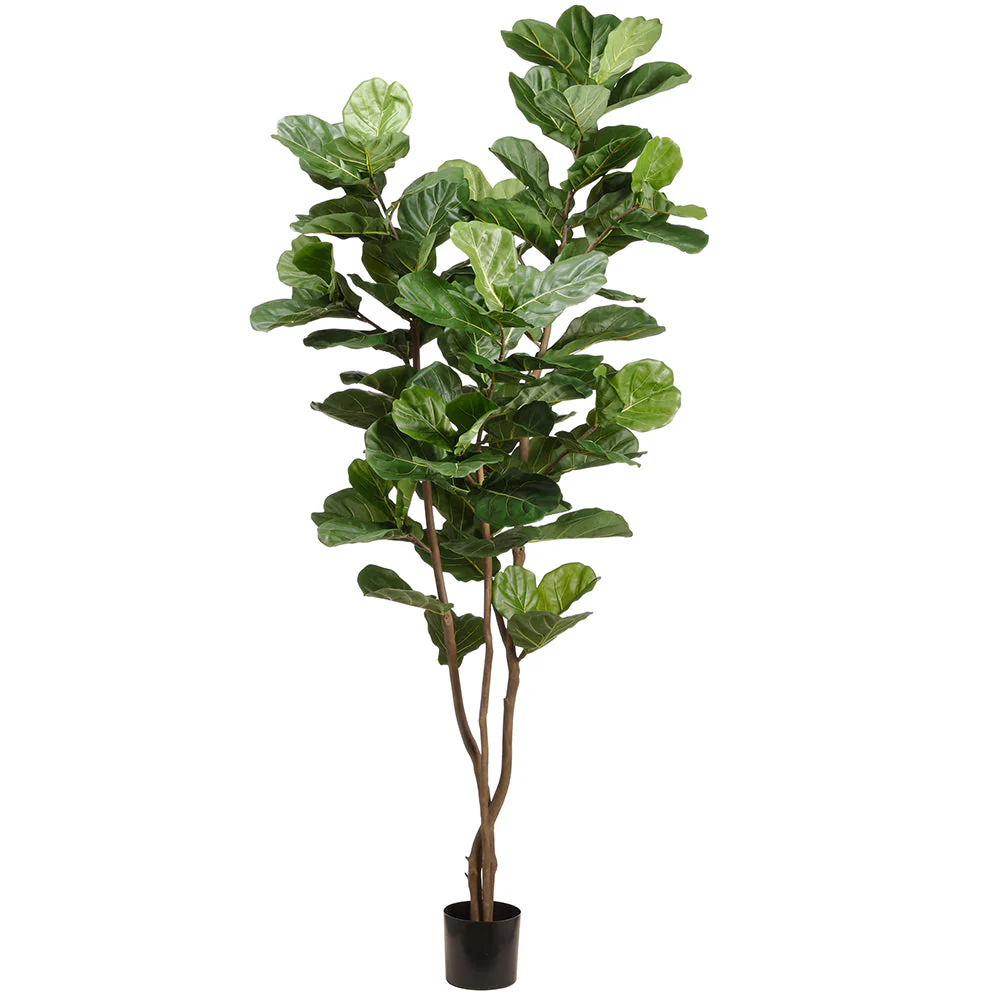 7'6" Silk Fiddle Leaf Fig Tree w/Plastic Pot -Green