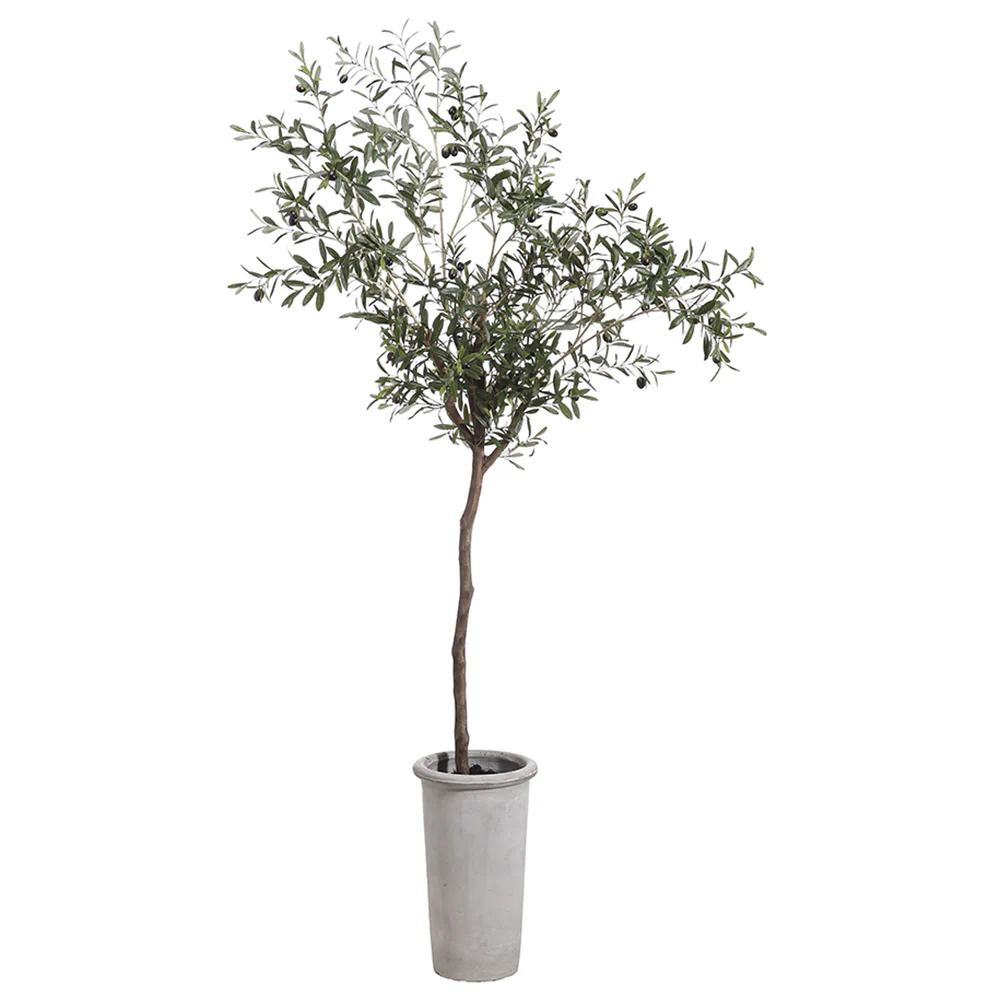 7'6" Silk Olive & Berry Tree w/Cement Planter -Green