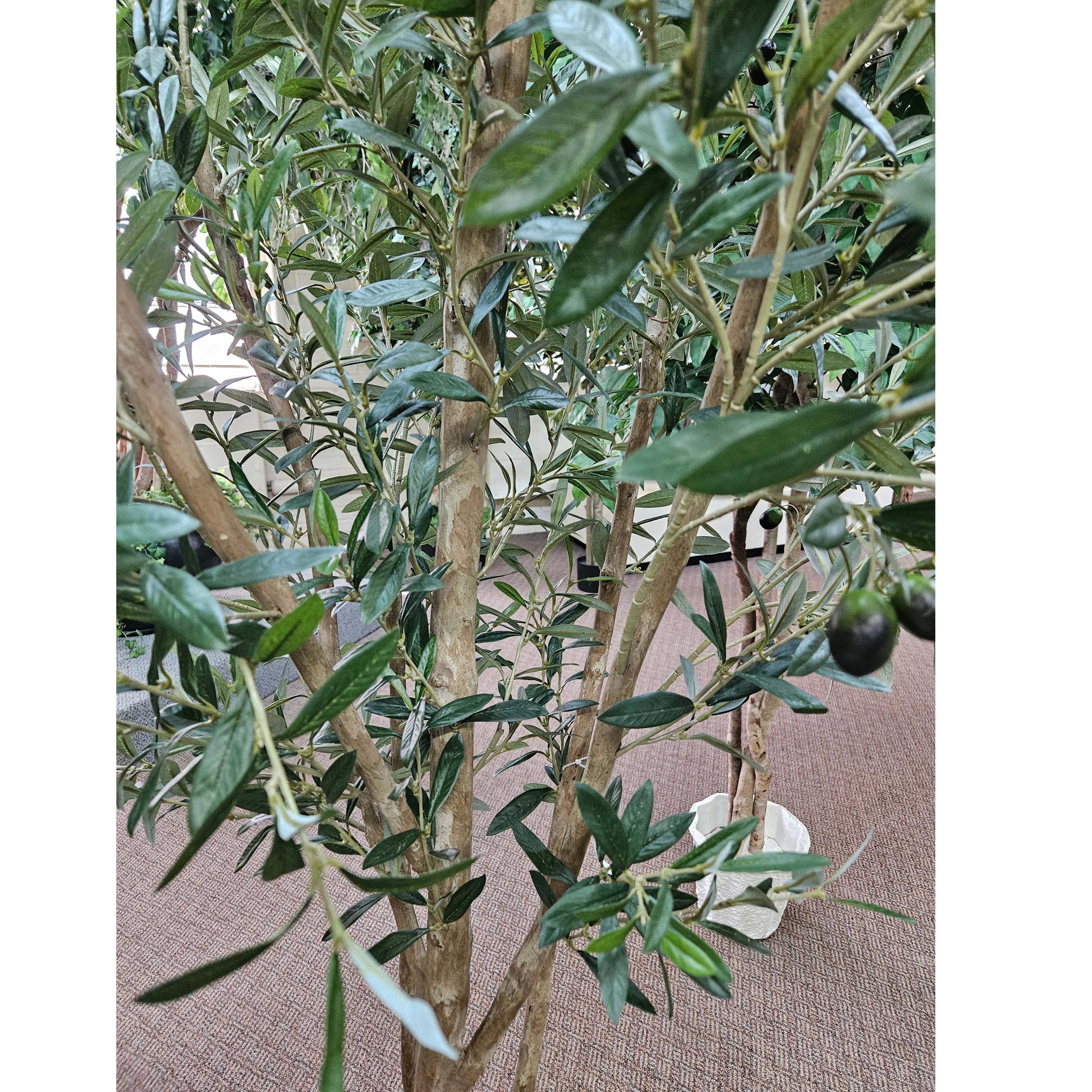 7'6" Silk Olive Tree With Olives w/Pot -Green - Image 4